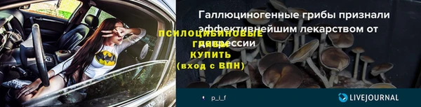 PSILOCYBIN Дмитров