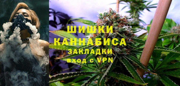 PSILOCYBIN Дмитров