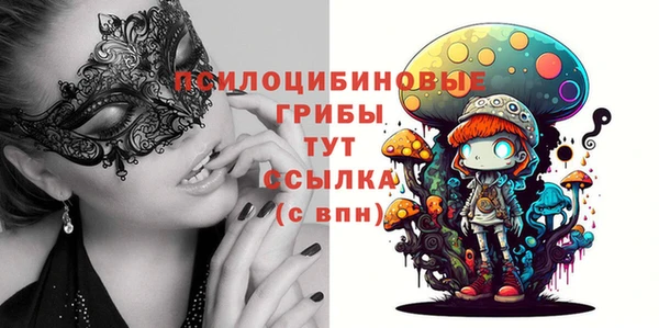 PSILOCYBIN Дмитров