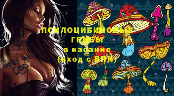 гашиш Дмитриев